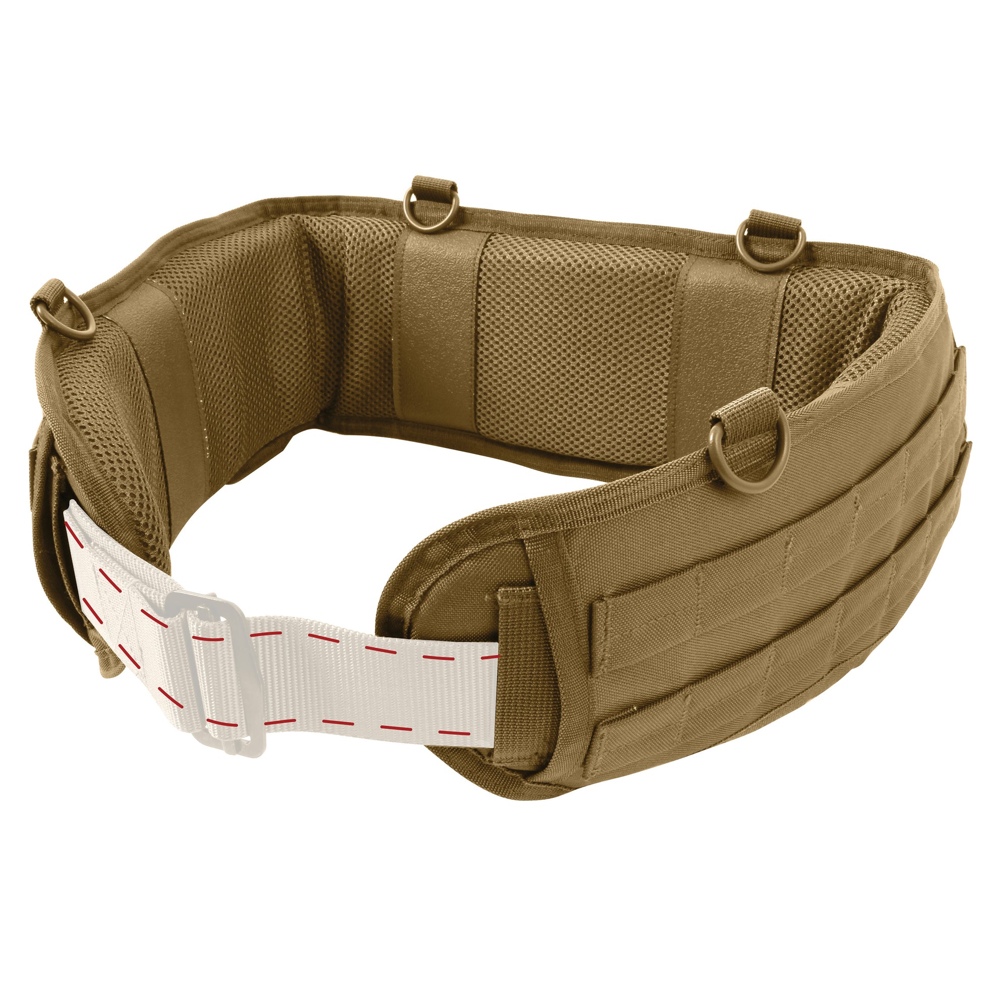 10679-Coyote-A2.jpg