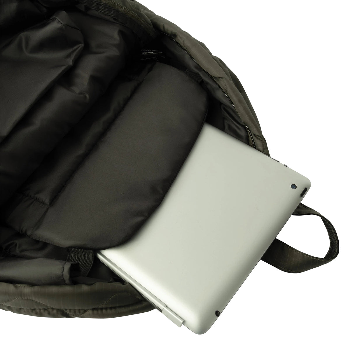 13831-L.webp