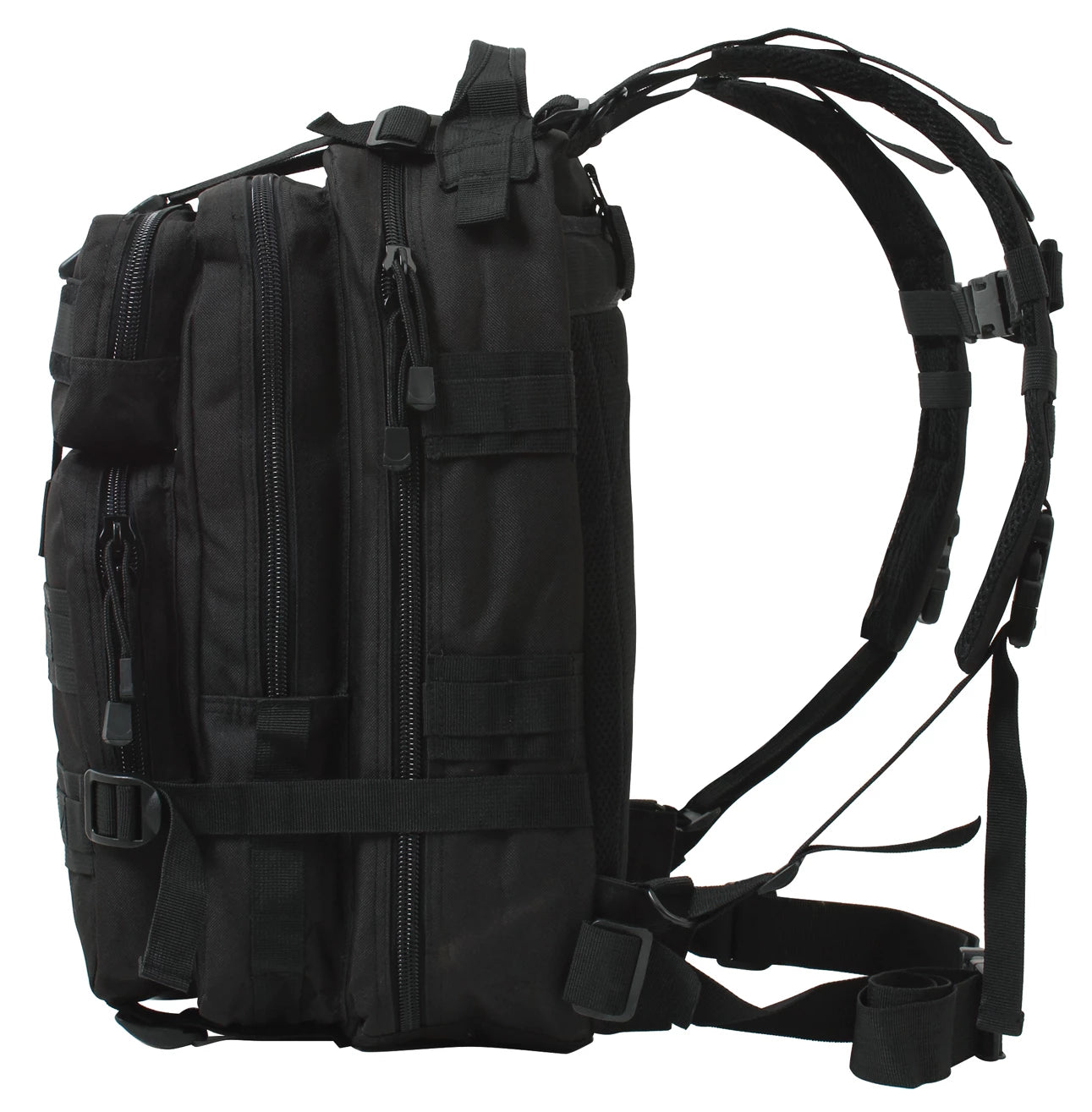 2287-B-amazon1.webp