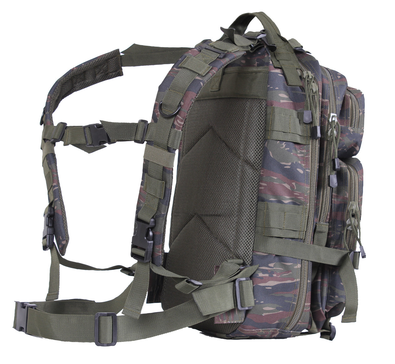 2418-C-amazon1.jpg