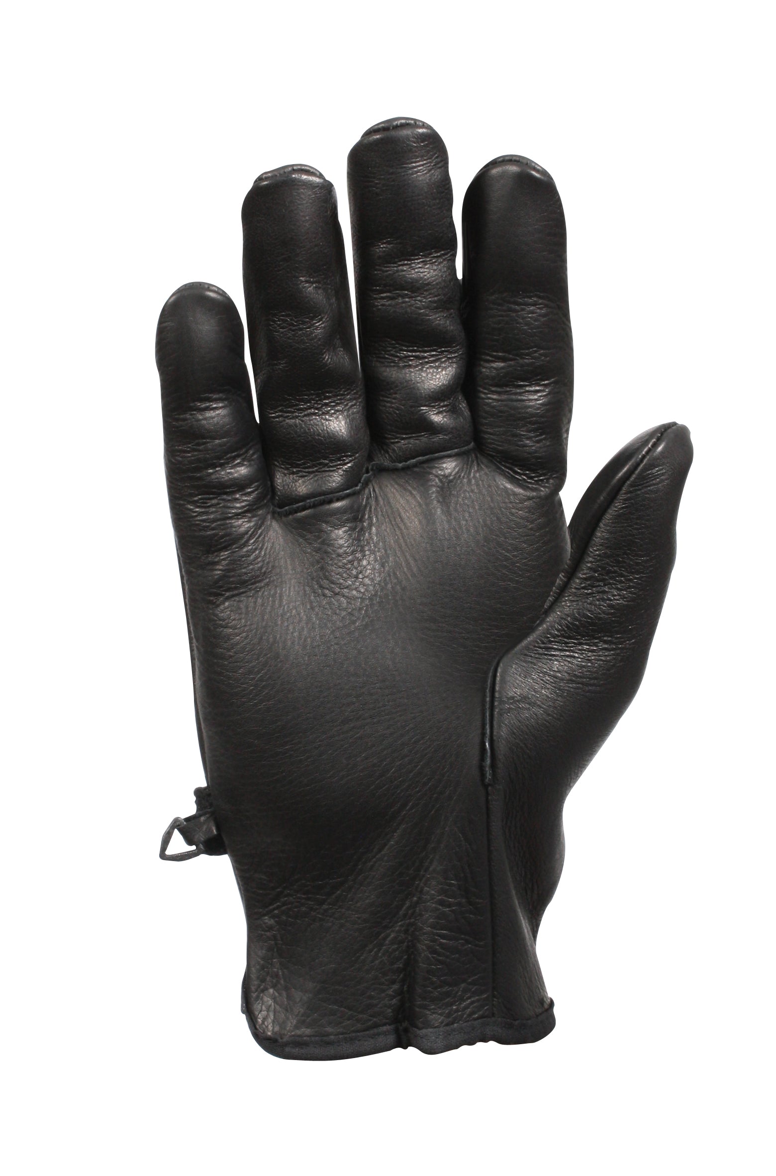 3383_palm_side-HR.jpg