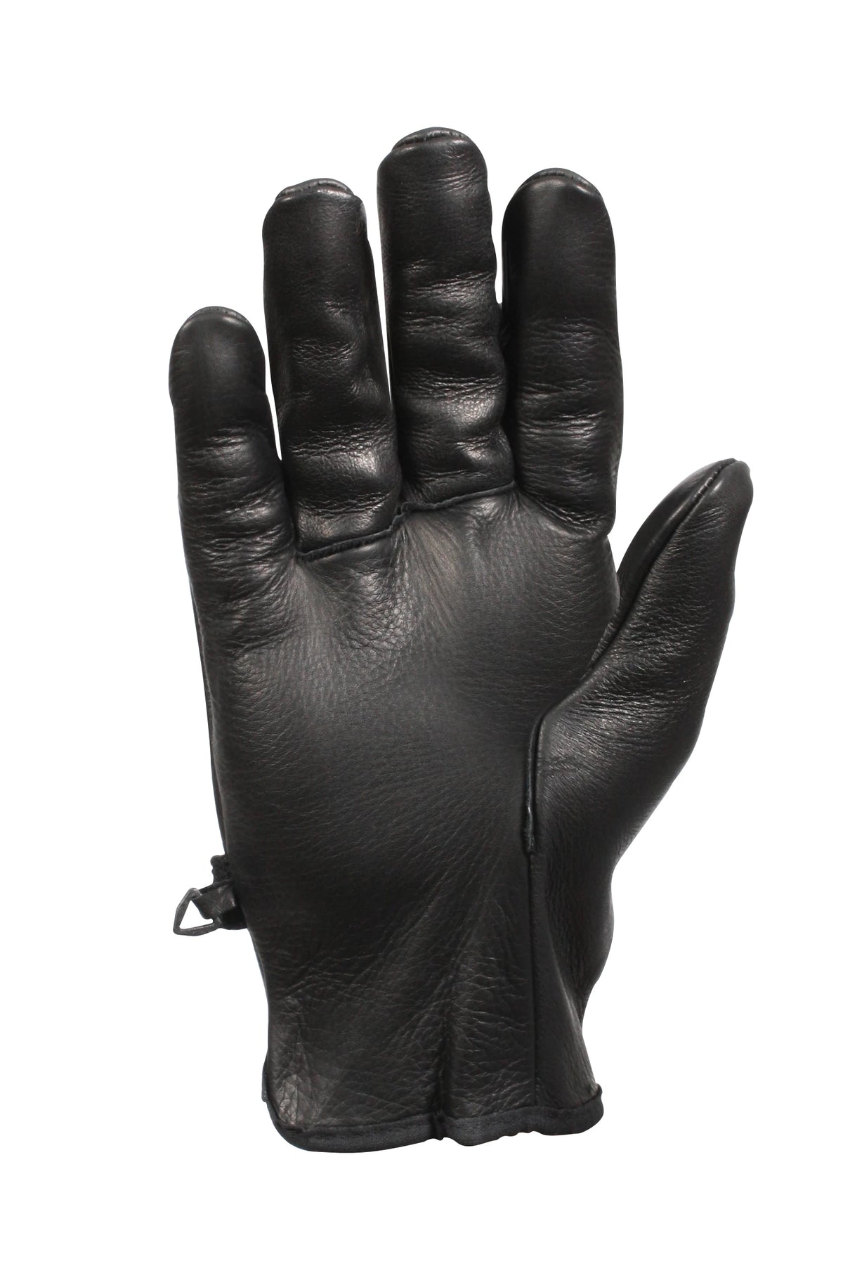 3383_palm_side-HR.webp