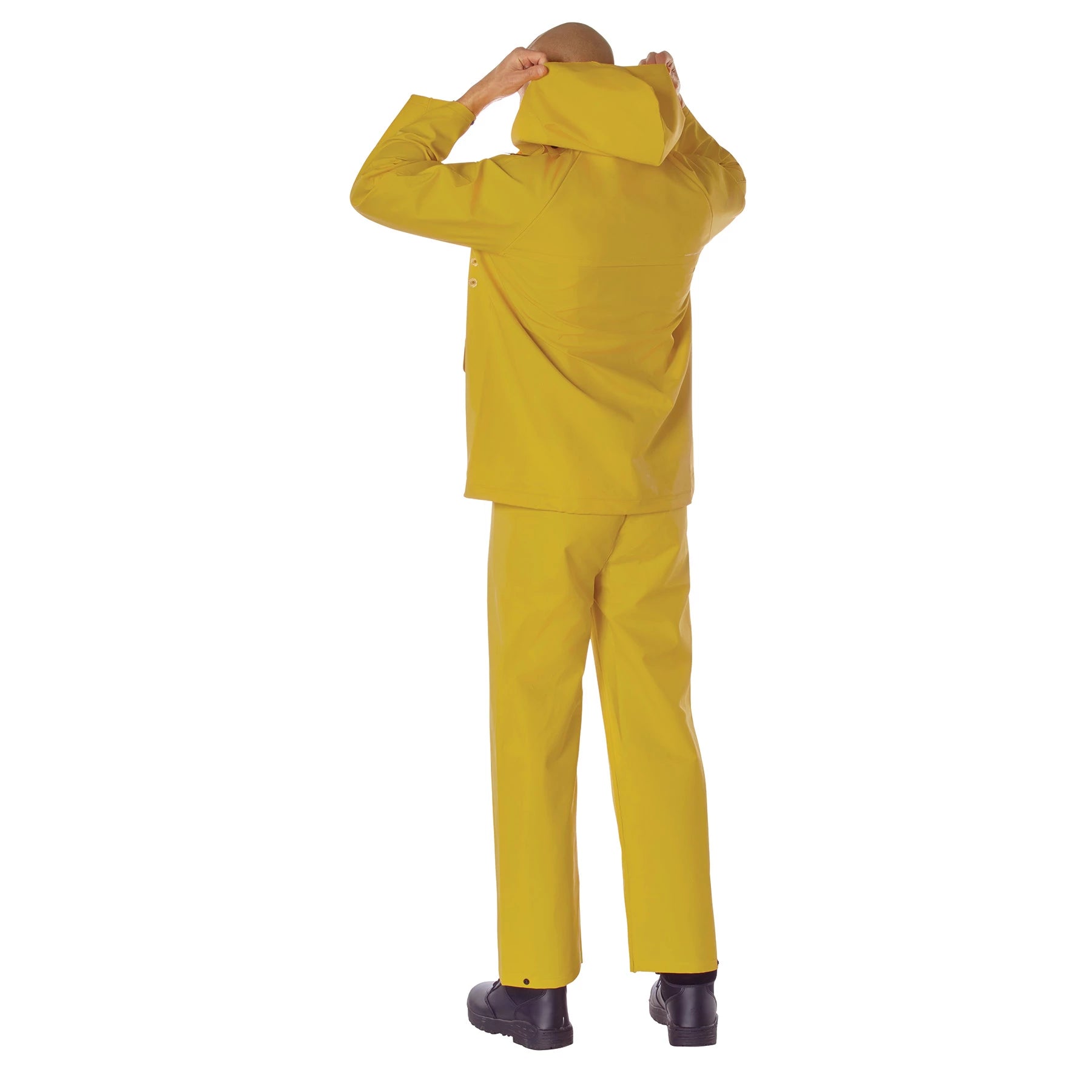 3620-BACK-D.webp