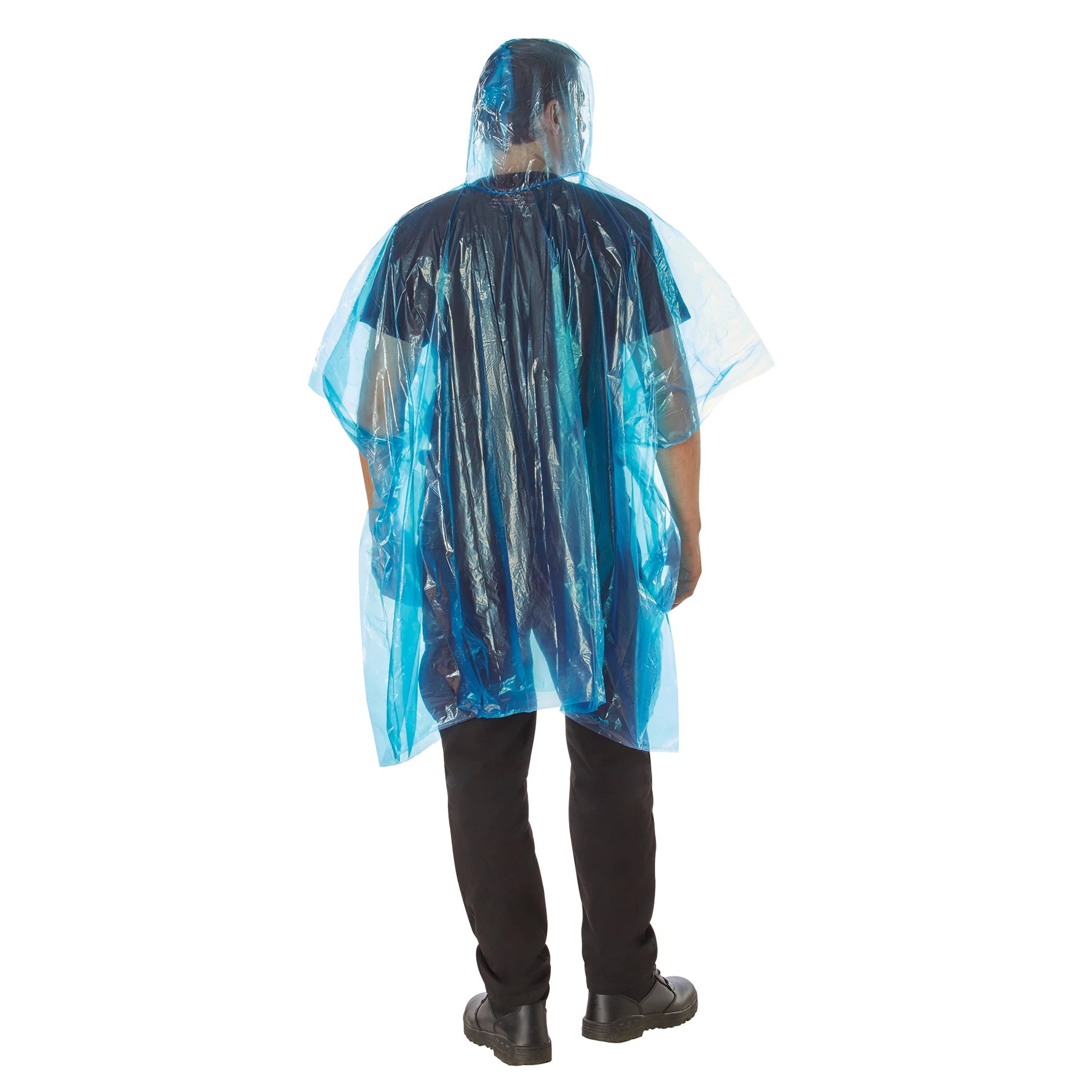 3681BLUE-BACK-B.webp