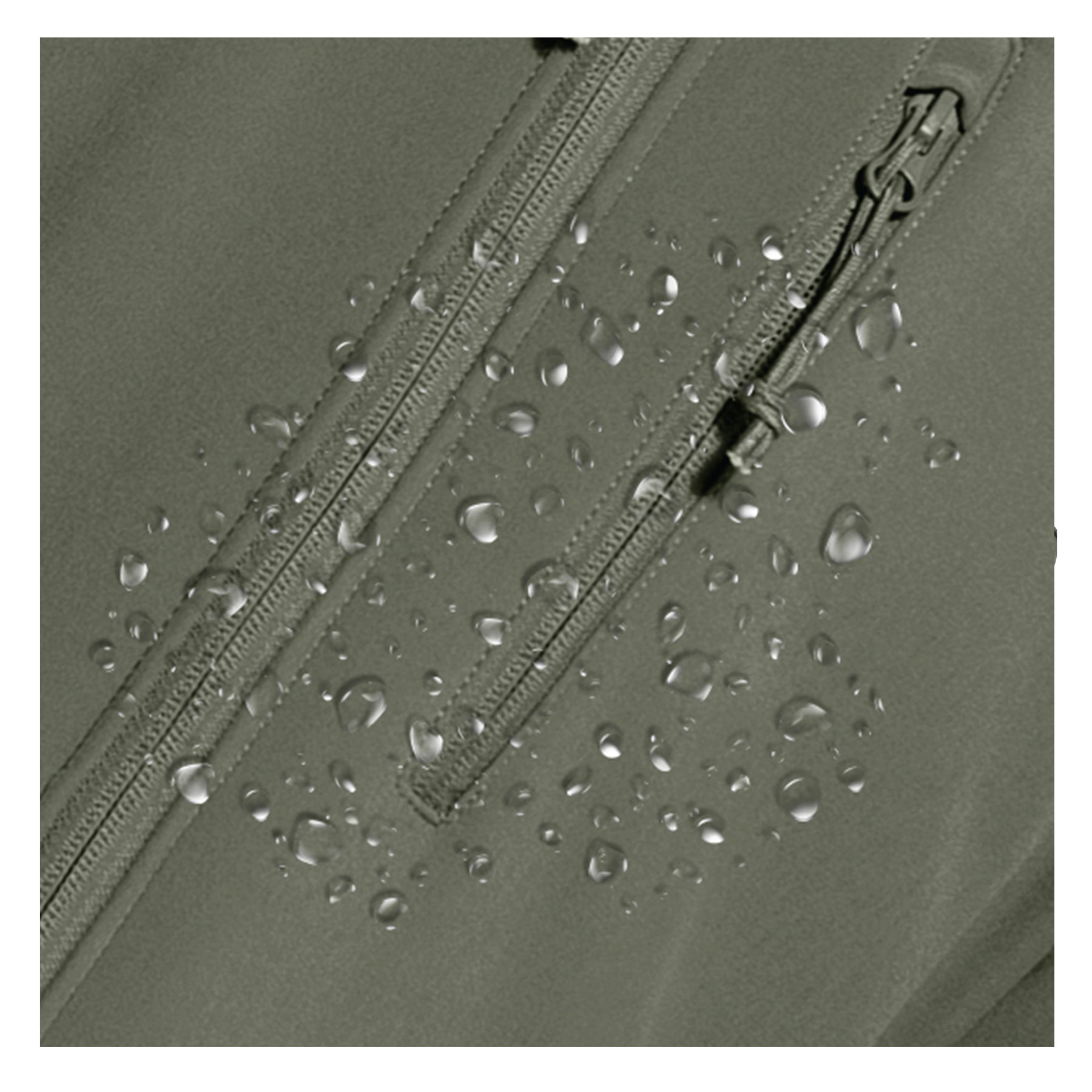 3806-L1.jpg