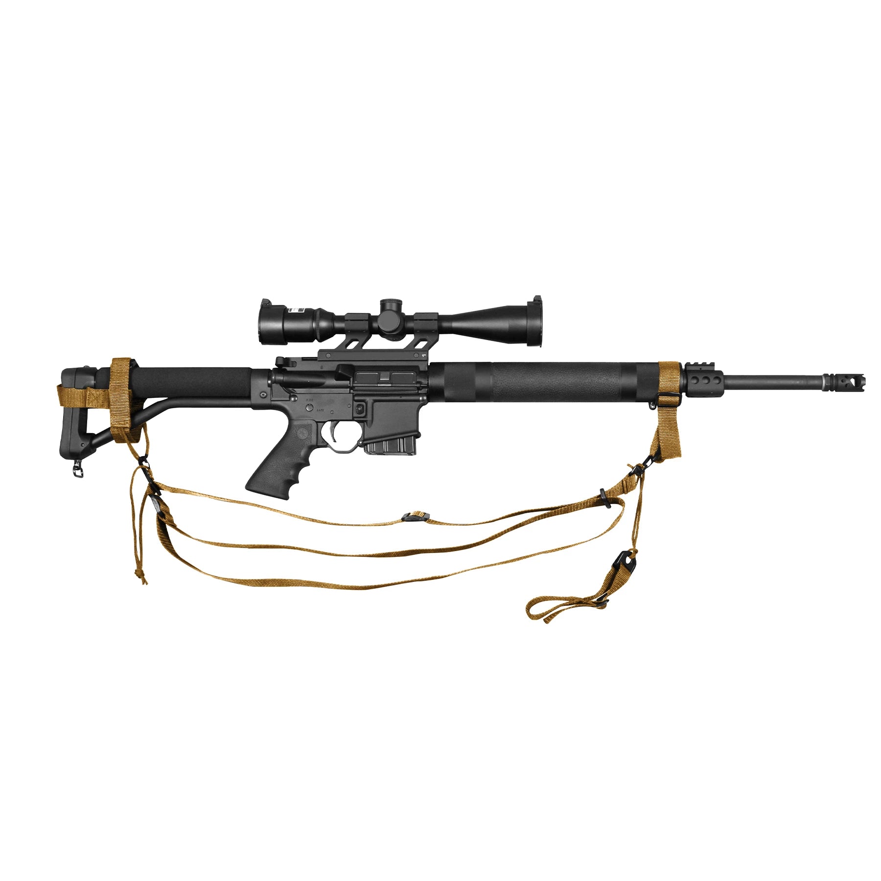 4007-coyote-a.webp