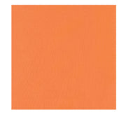 4024-Orange-F_LI.jpg