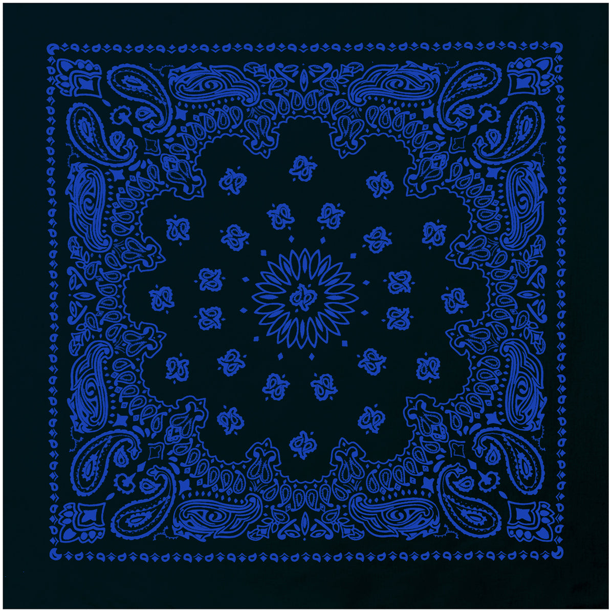4044-Black_with_Blue-A-amazon.jpg