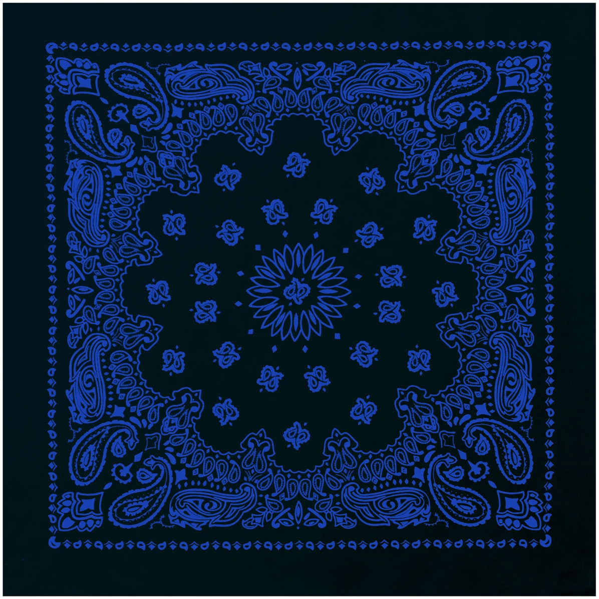 4044-Black_with_Blue-A-amazon.webp