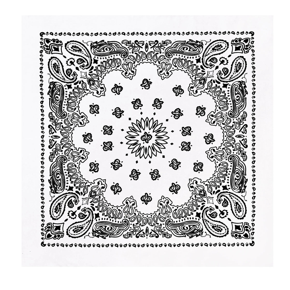 4050-White-amazon.webp