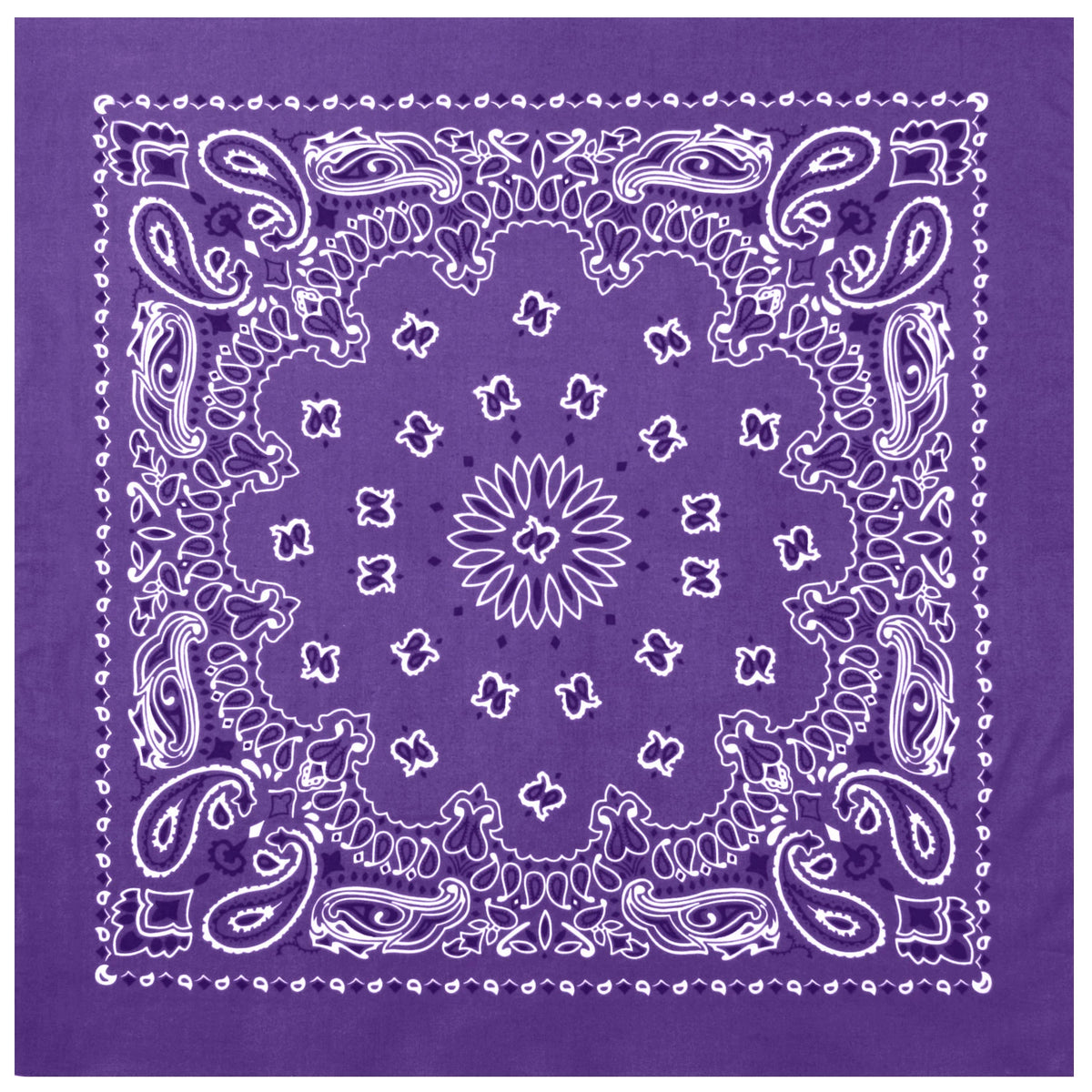 4053-Purple-amazon1.webp