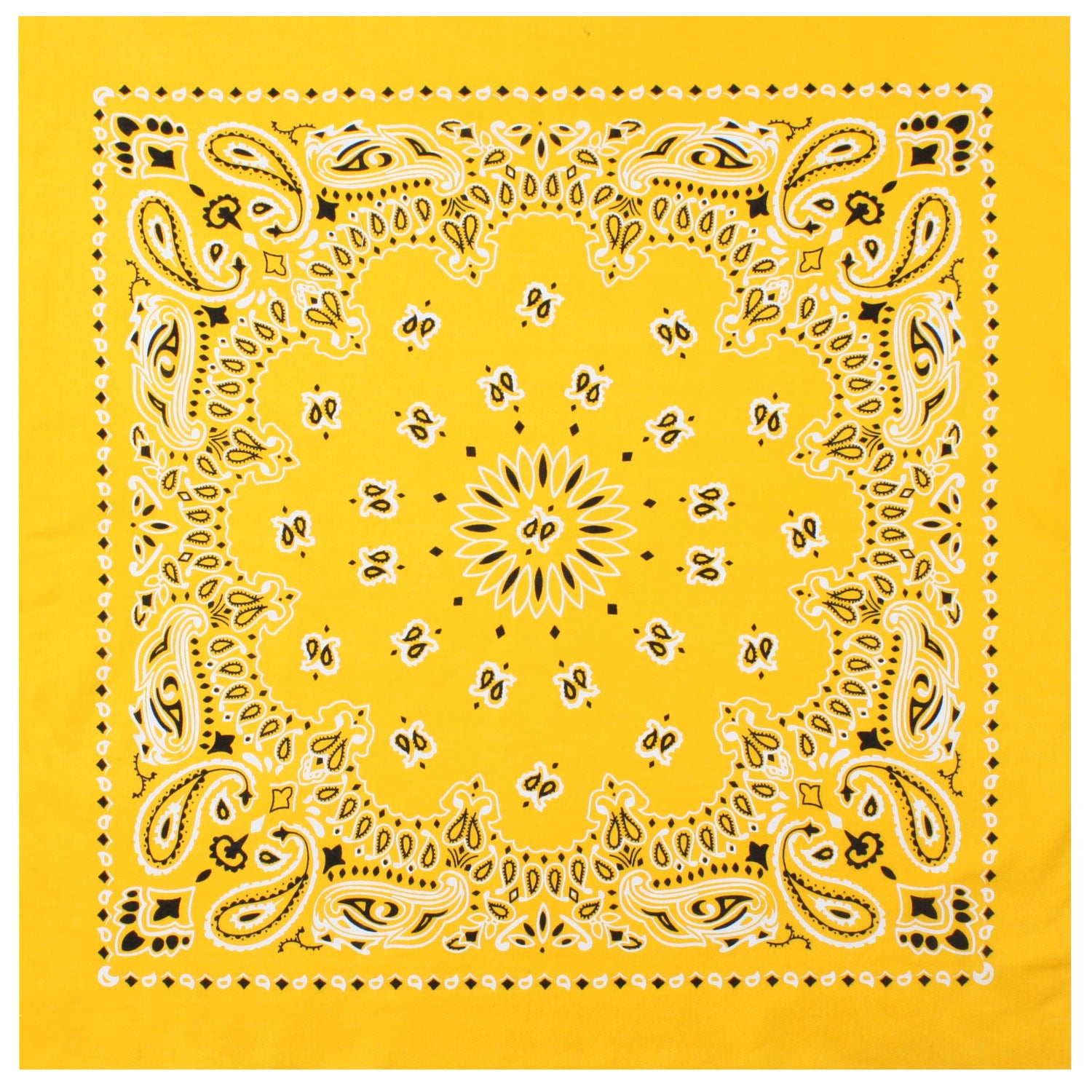 4069-Yellow-amazon.jpg