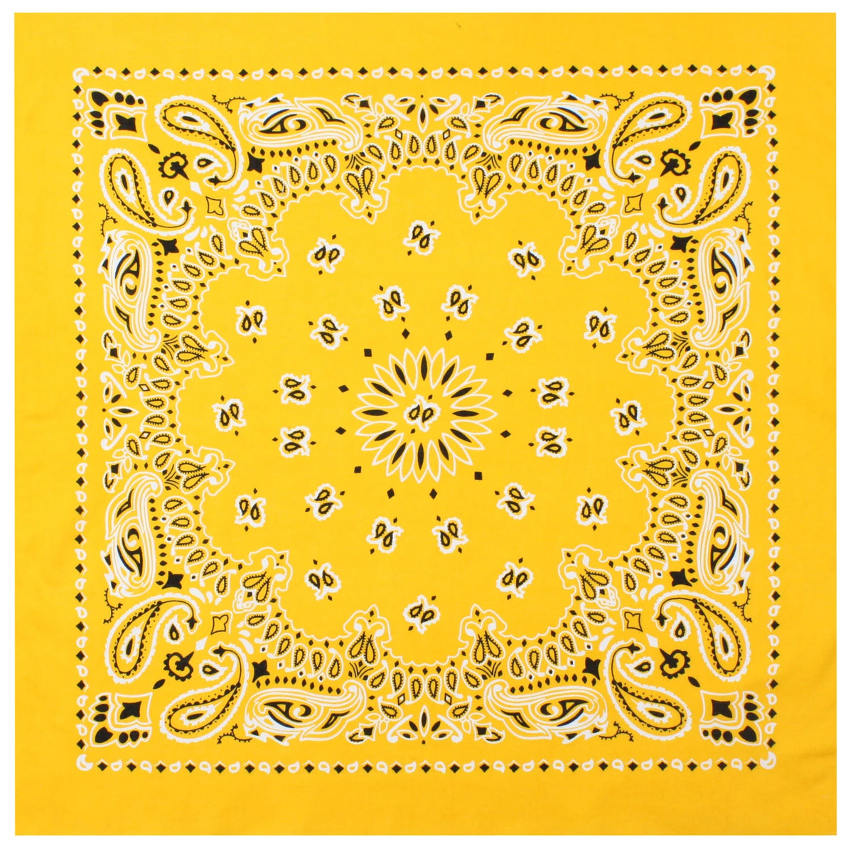 4069-Yellow-amazon.webp
