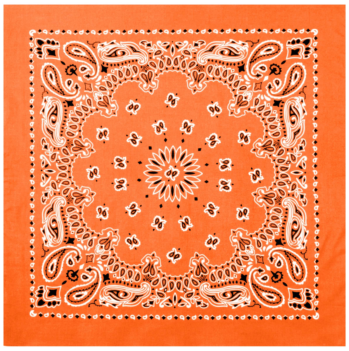 4349-Orange-A-amazon.webp