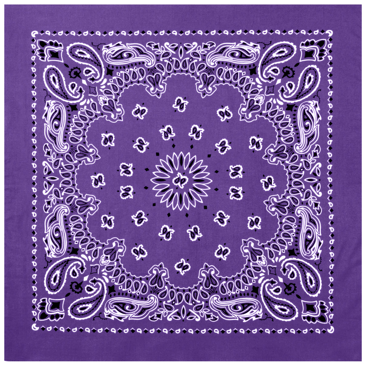 4349-Purple-A-amazon.jpg