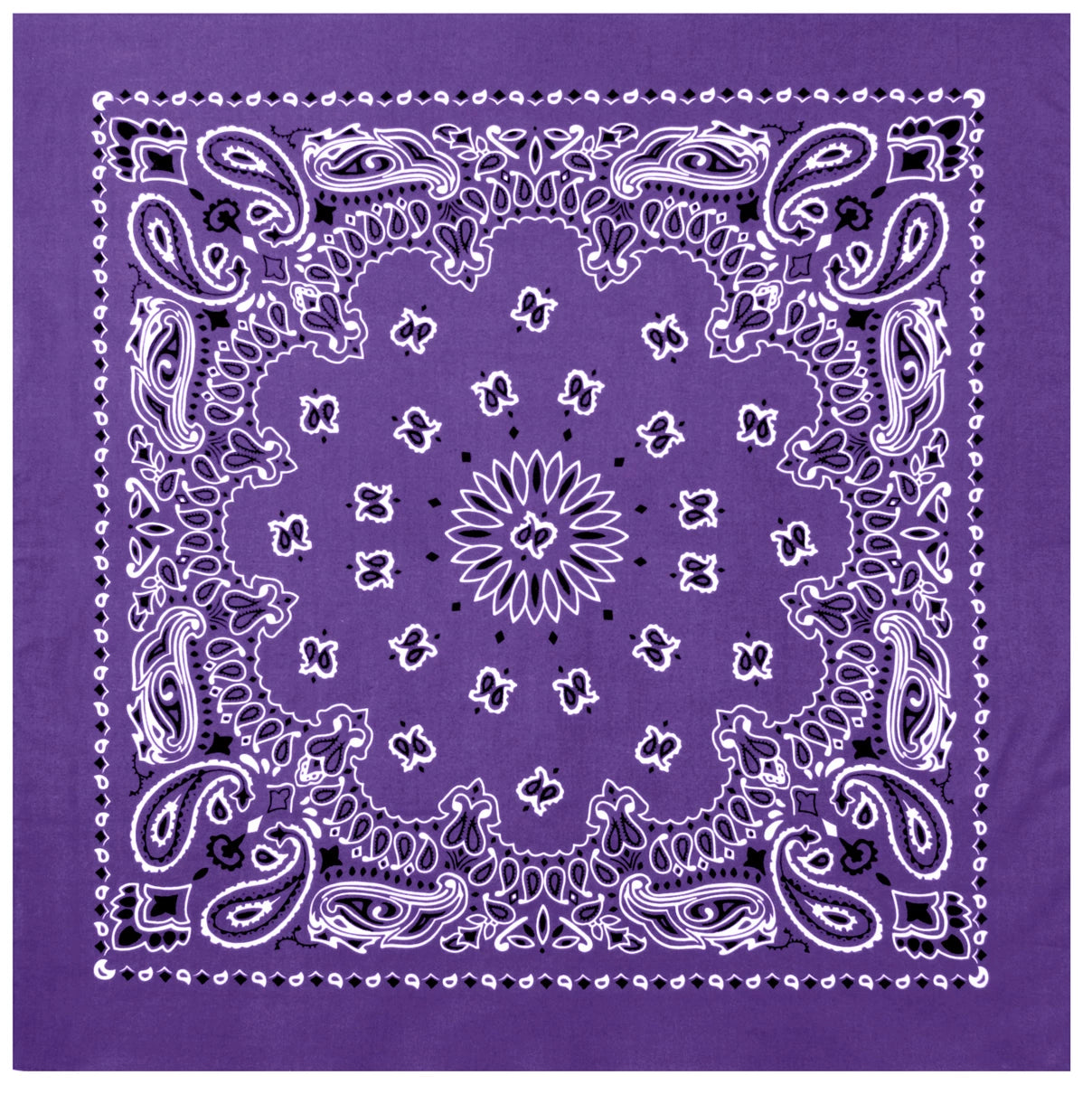 4349-Purple-A-amazon.webp