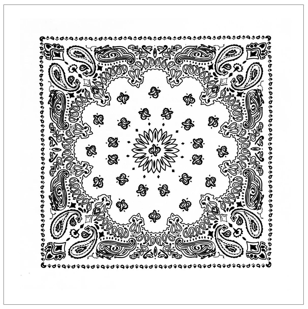 4349-White-A-amazon.webp