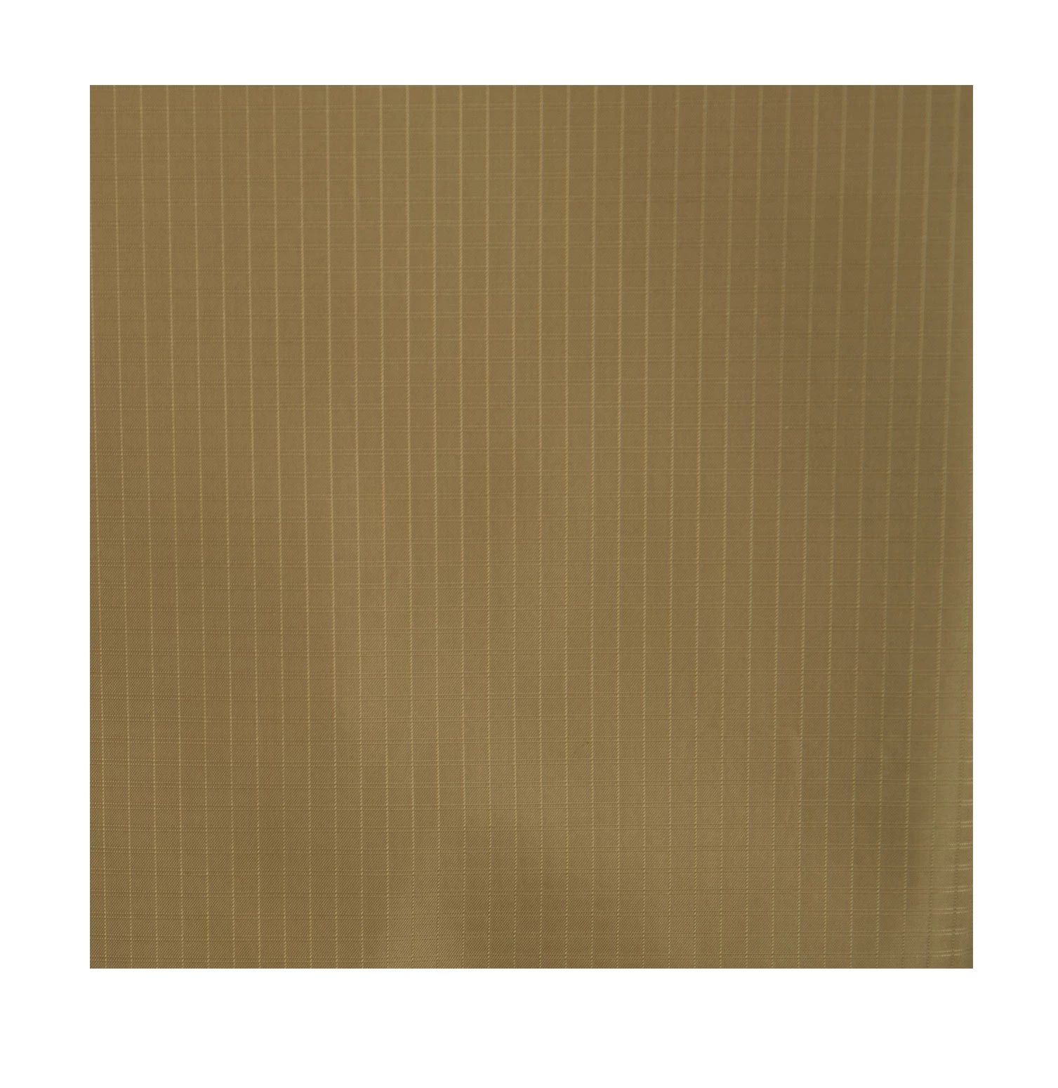 4938-Coyote-D-amazon1.webp