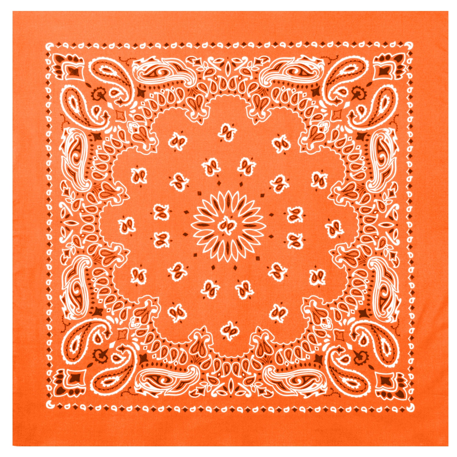 4948-Orange-amazon.jpg