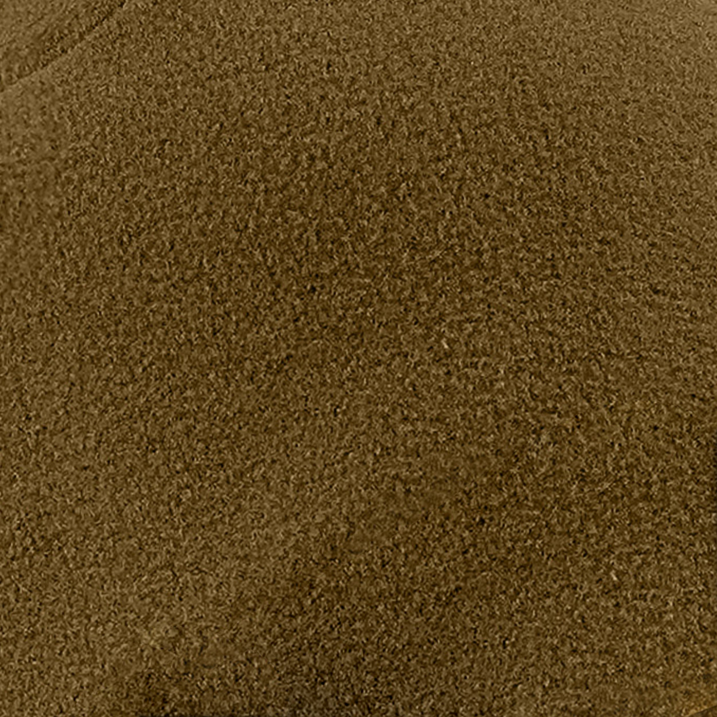 8460-Coyote-F.jpg
