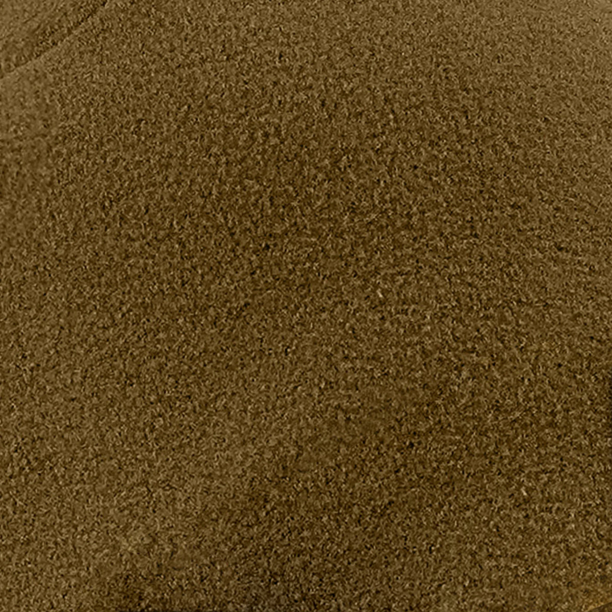 8460-Coyote-F.webp