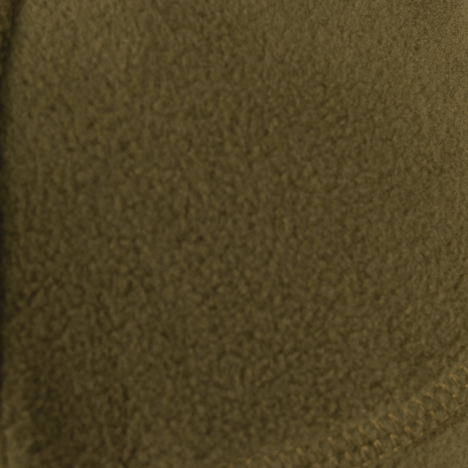 8760-Coyote-F.jpg