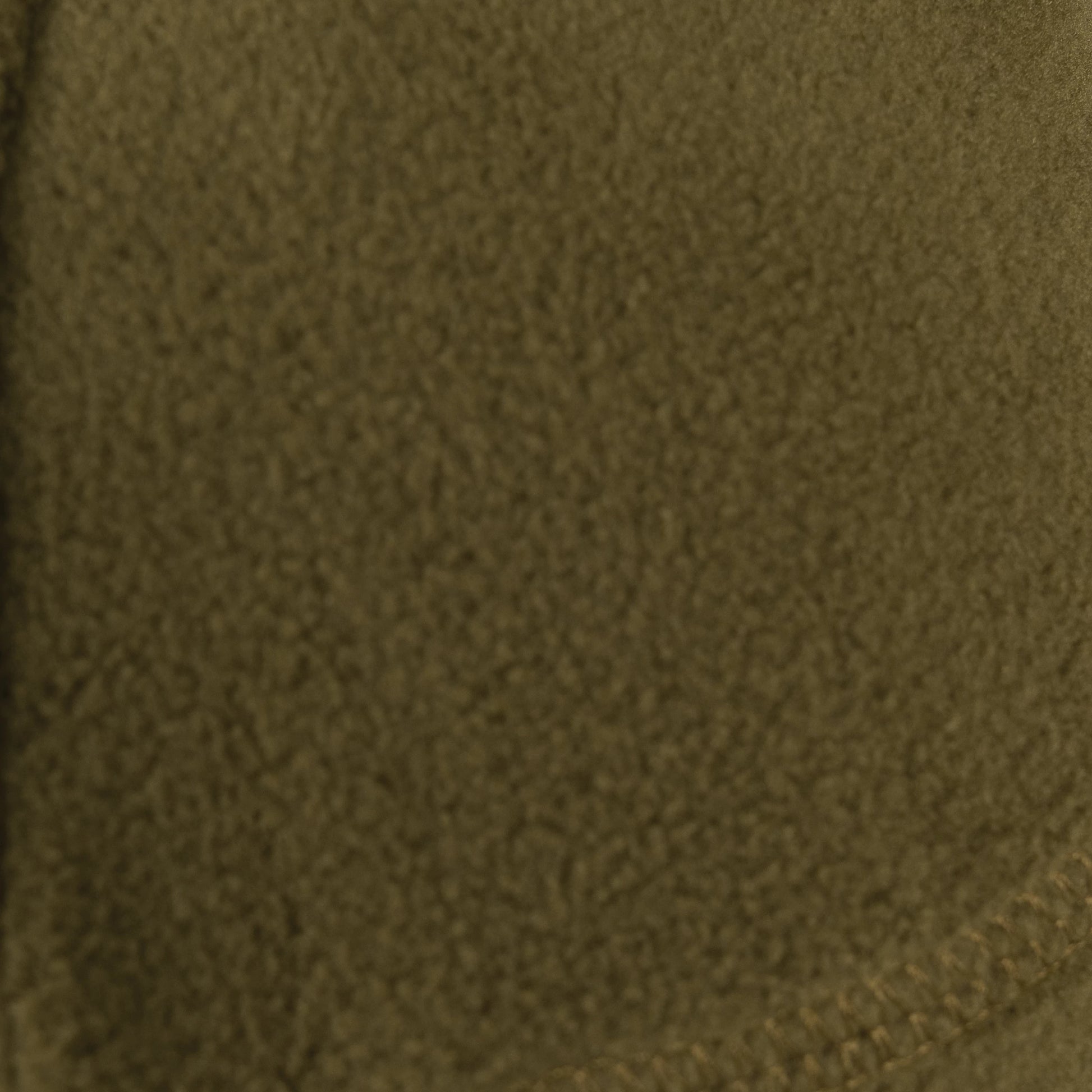 8760-Coyote-F.webp
