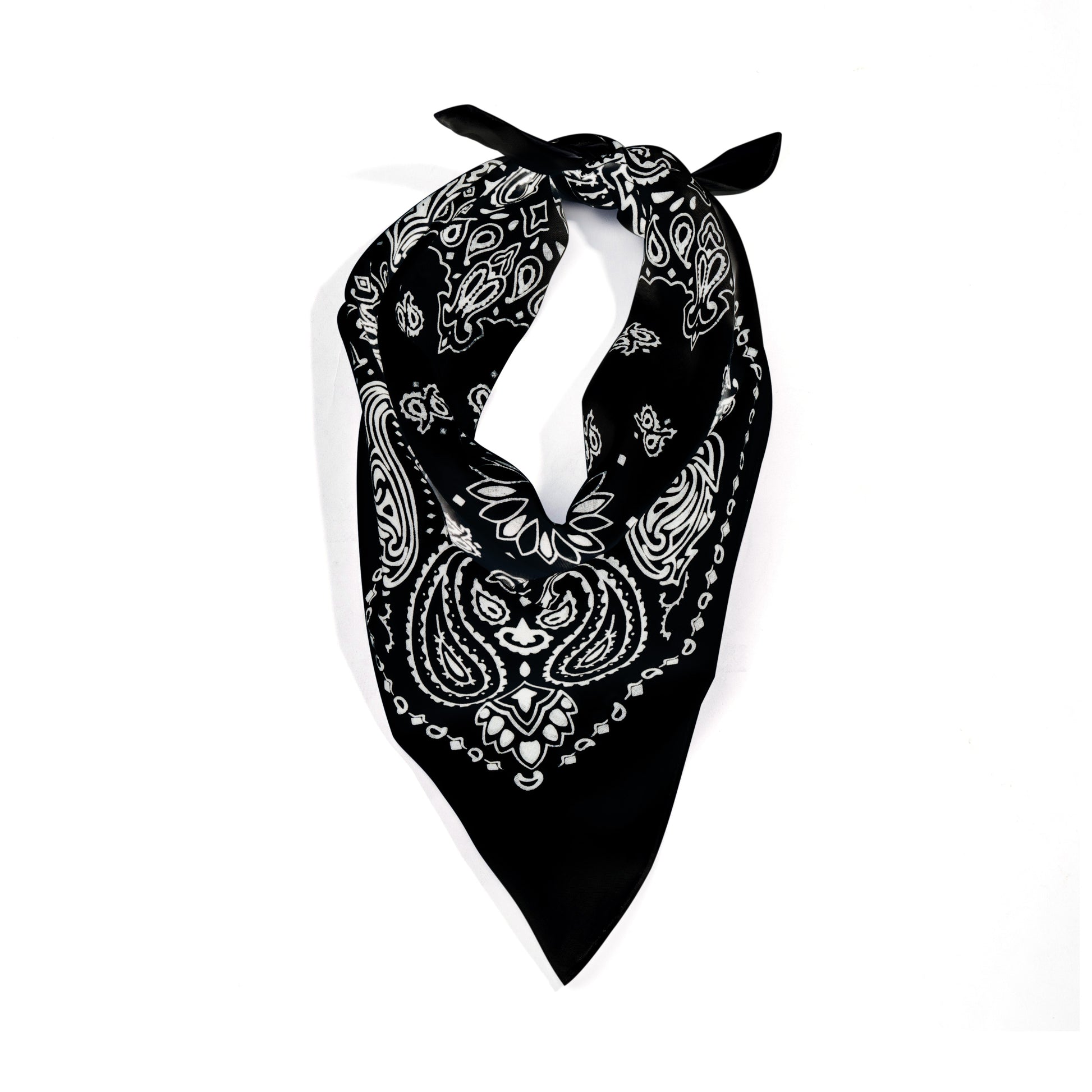 ATF_Banner_2_-_Black_and_White.jpg