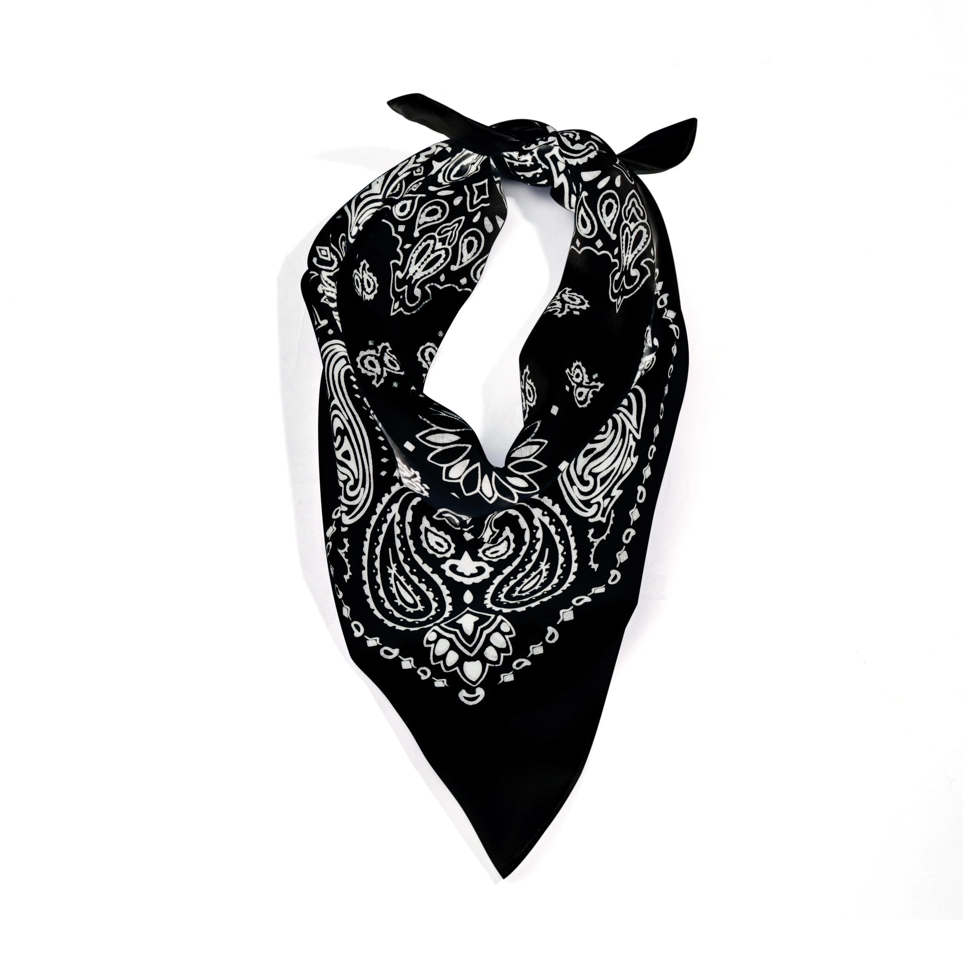ATF_Banner_2_-_Black_and_White.webp