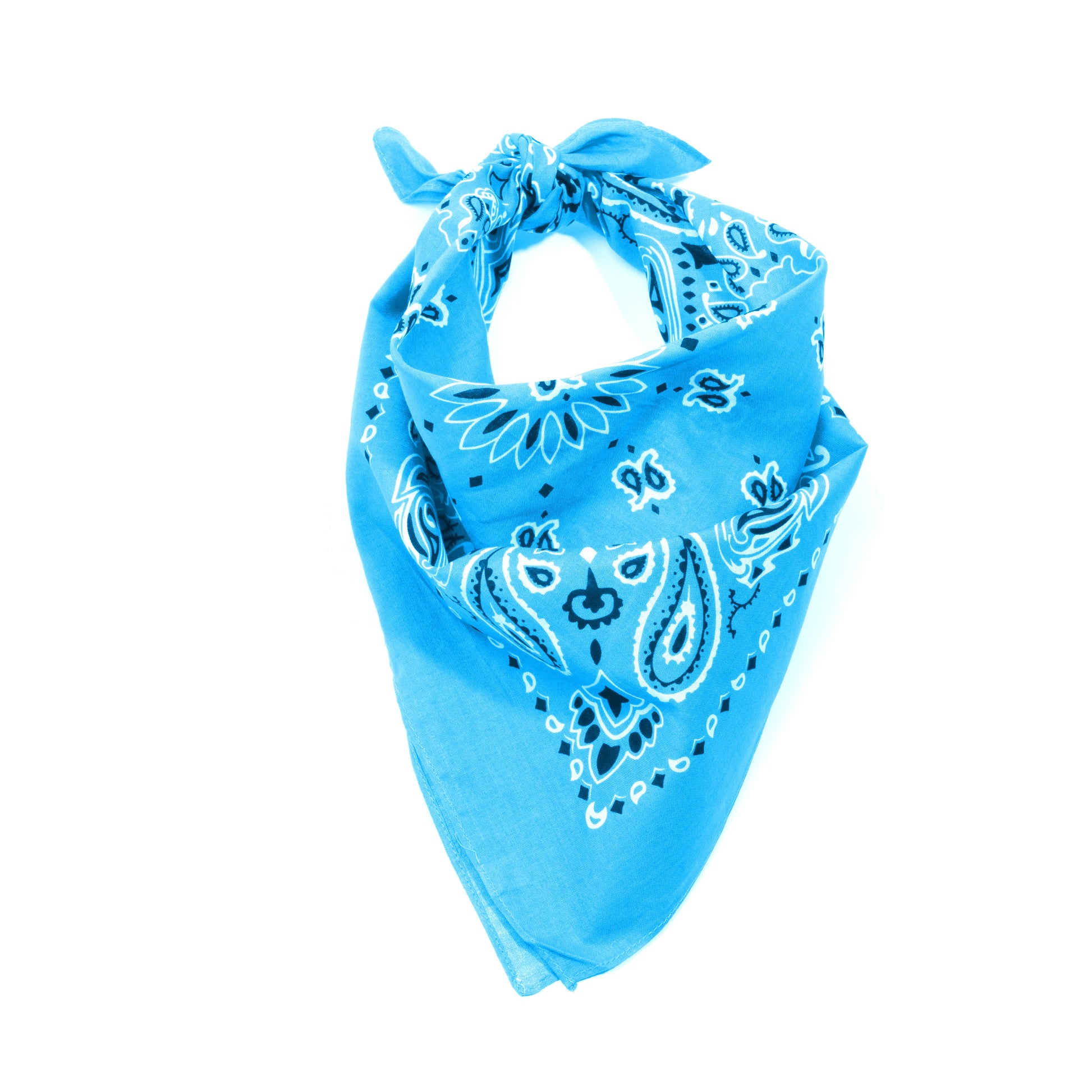 ATF_Banner_2_-_Light_Blue.webp