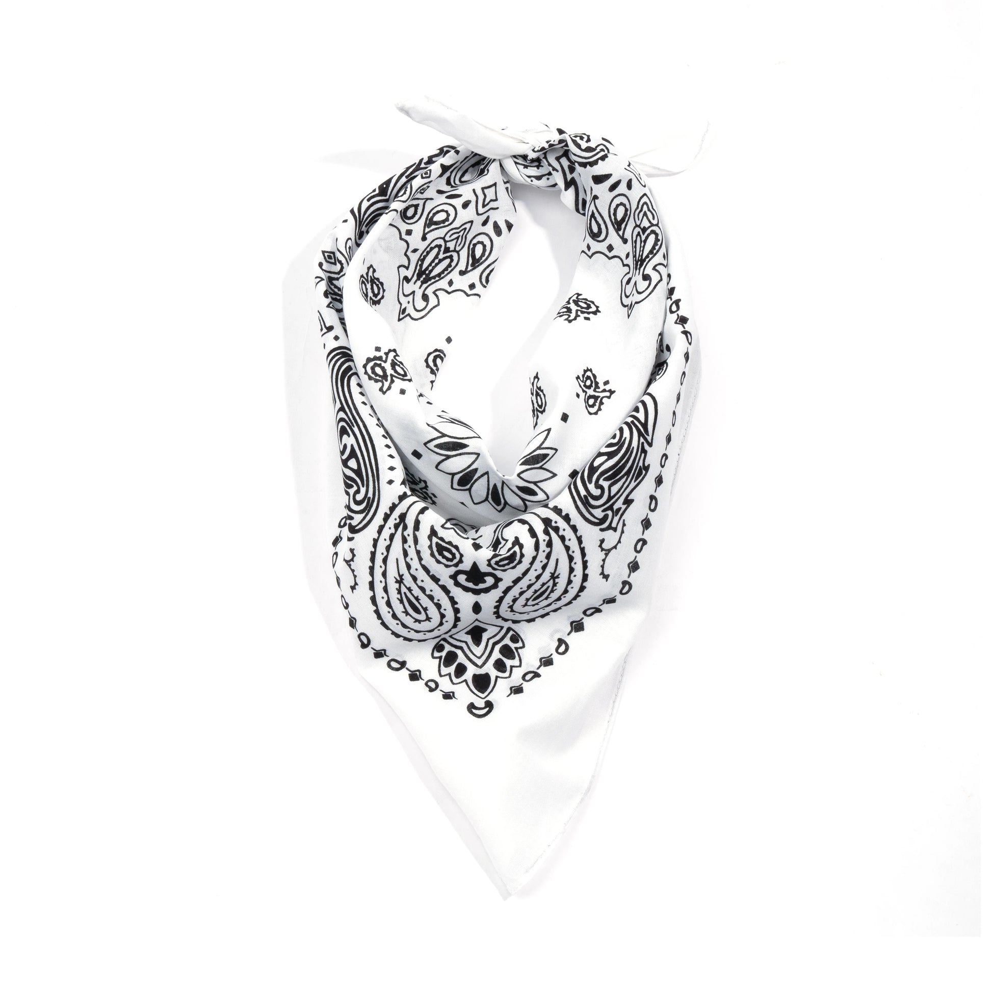 ATF_Banner_2_-_White.webp