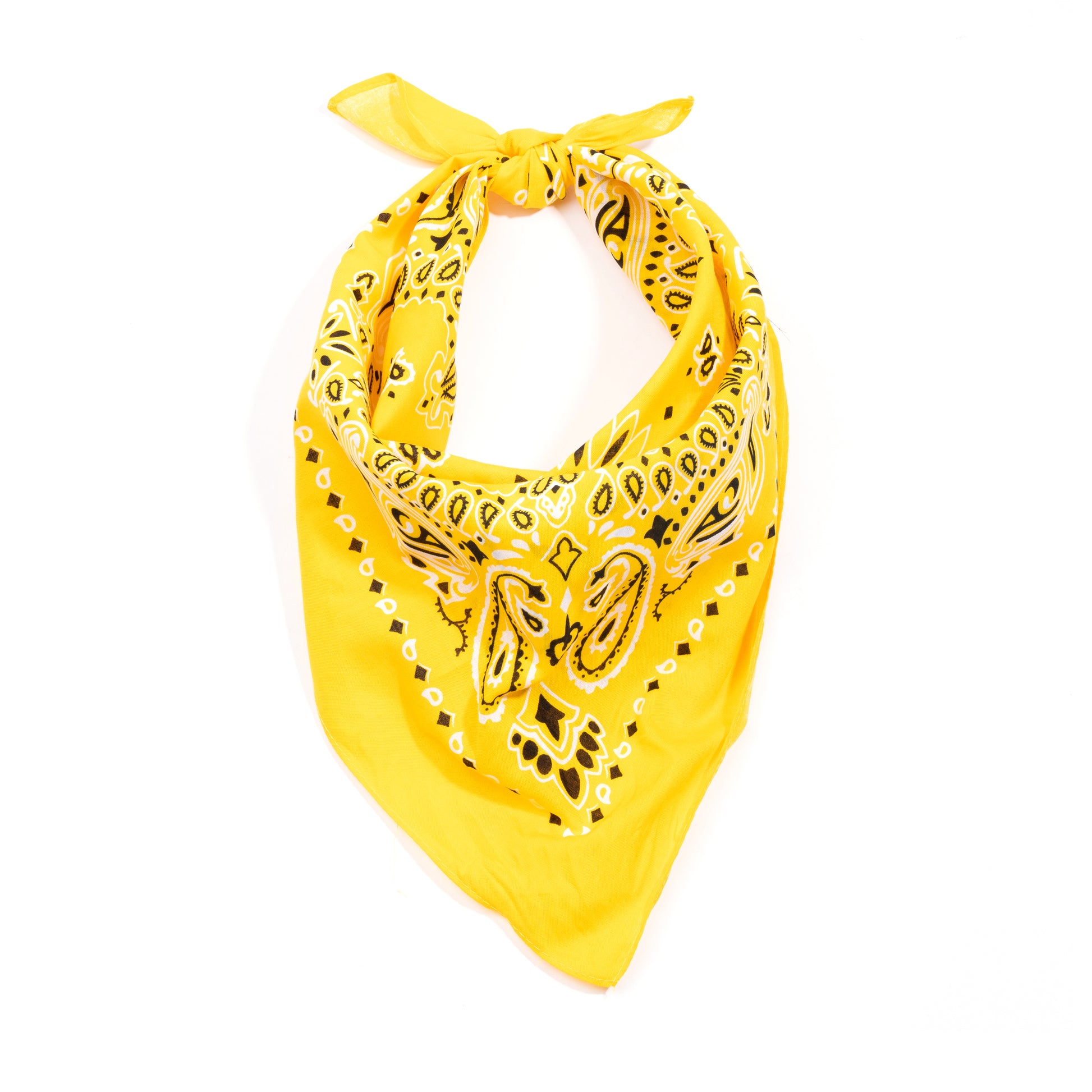ATF_Banner_2_-_Yellow.jpg