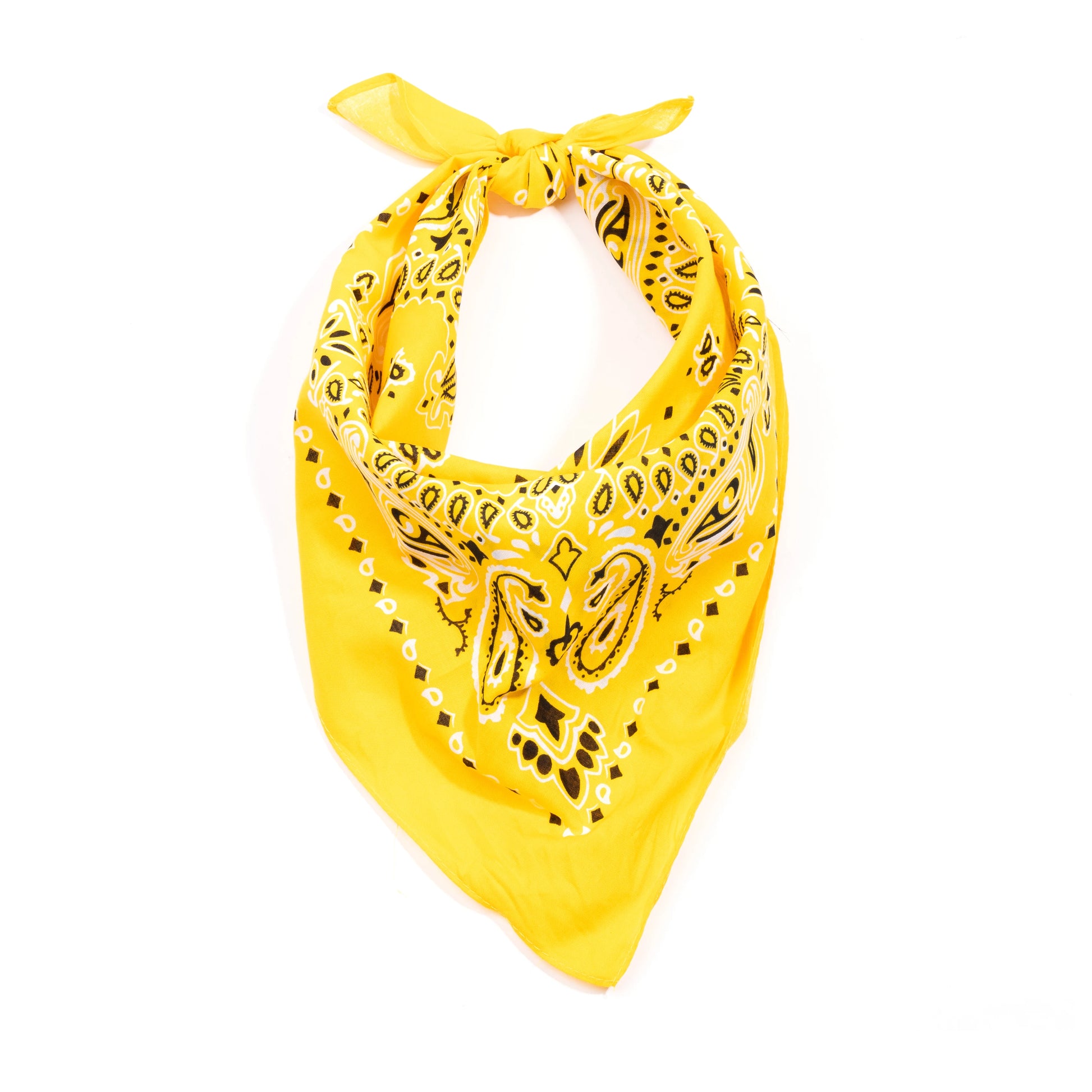 ATF_Banner_2_-_Yellow.webp