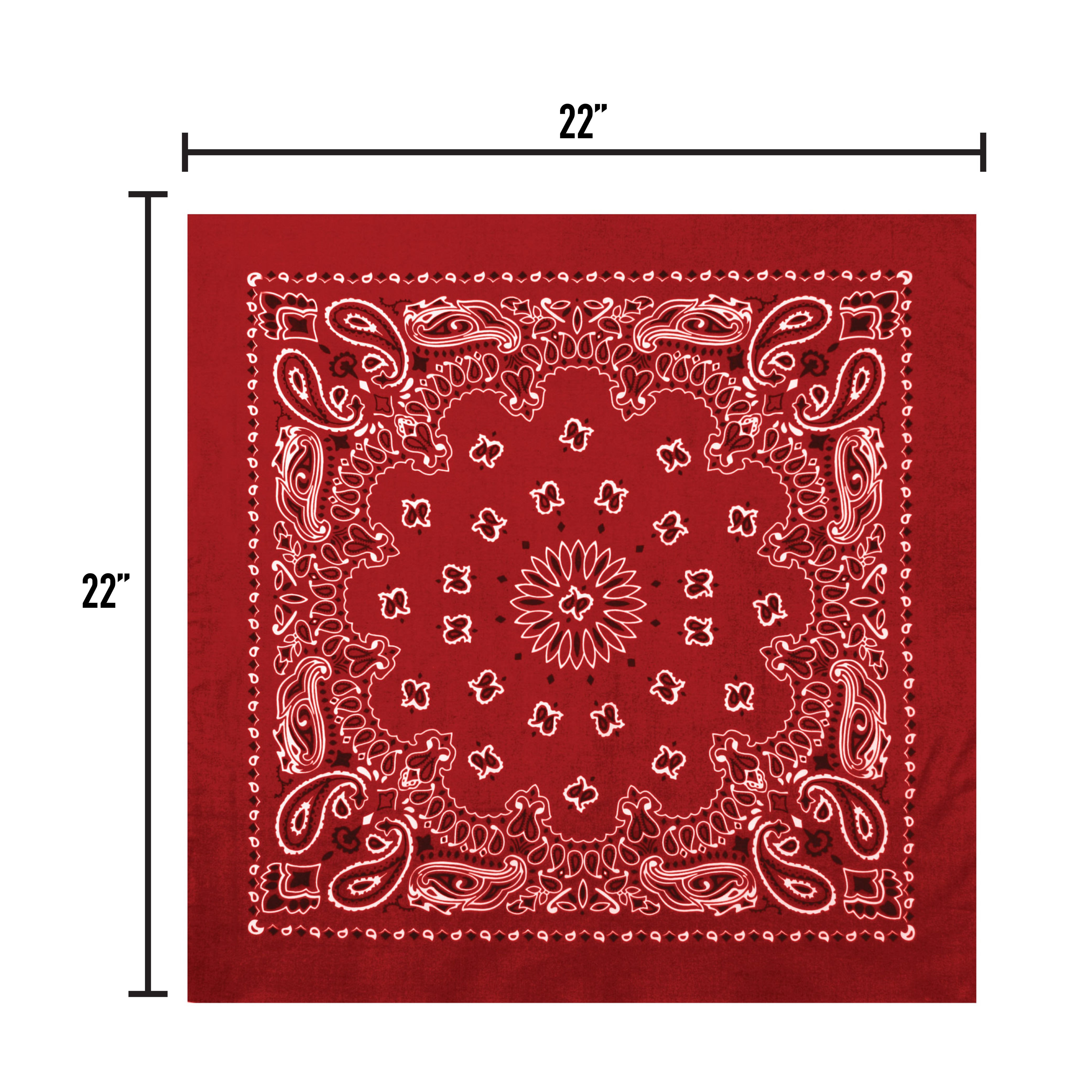 Bandana_Size_22-17.jpg