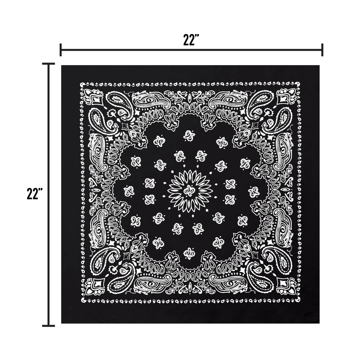Bandana_Size_22-20.webp